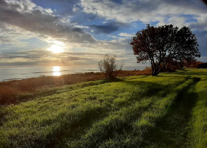 Villa, Maison Bord De Climatisee * Poggio Mezzana